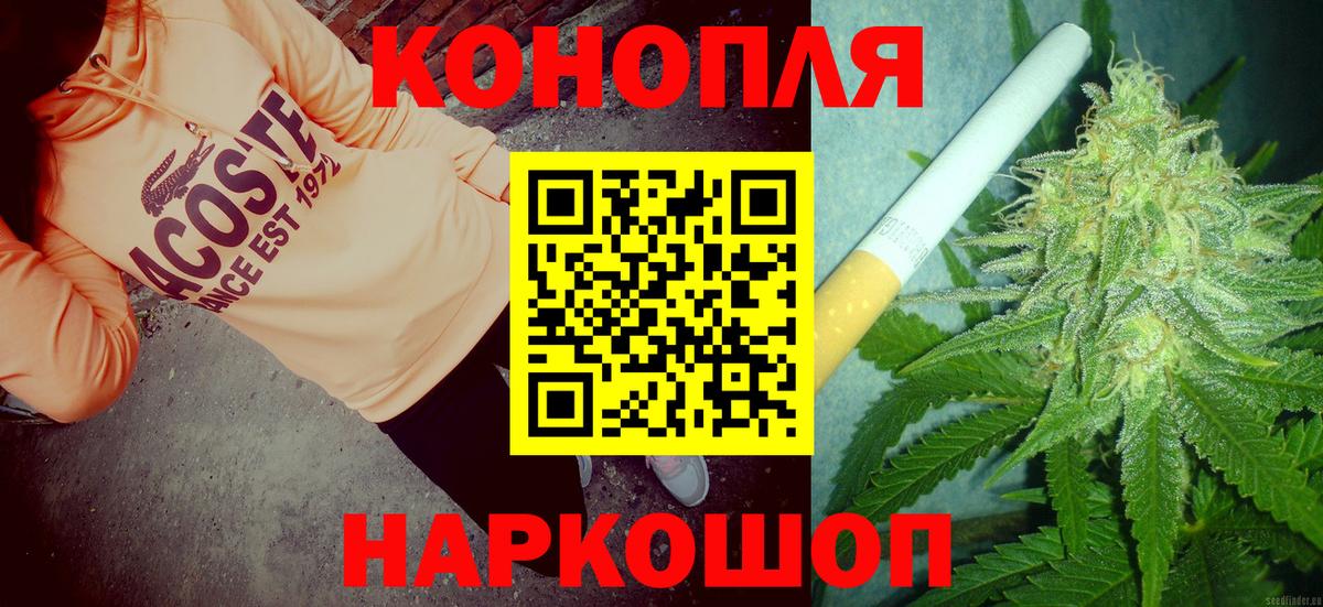 Конопля план  МАРИХУАНА Ganja  МАРИХУАНА VHQ  Кострома  Вход с VPN  Каннабис сатива 